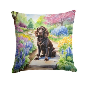Boykin Spaniel Spring Path Throw Pillow Machine Washable, Indoor Outdoor Decorative Pillow for Couch, Bed or Patio, 18Hx18W Boykin Spaniel Spring Path Throw Pillow Machine Washable, Indoor Outdoor Decorative Pillow for Couch, Bed or Patio, 18Hx18W