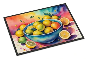 NEW Colorful Lemons Doormat Front Door Mat Indoor Outdoor Rugs for Entryway, Non Slip Washable Low Pile, 18H X 27W NEW Colorful Lemons Doormat Front Door Mat Indoor Outdoor Rugs for Entryway, Non Slip Washable Low Pile, 18H X 27W
