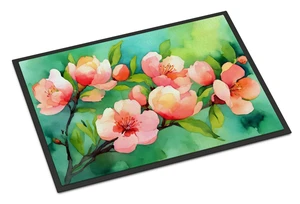 NEW Delaware Peach Blossom in Watercolor Doormat Front Door Mat Indoor Outdoor Rugs for Entryway, Non Slip Washable Low Pile, 18H X 27W NEW Delaware Peach Blossom in Watercolor Doormat Front Door Mat Indoor Outdoor Rugs for Entryway, Non Slip Washable Low Pile, 18H X 27W