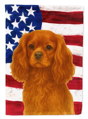 Ruby Cavalier Spaniel American Flag House Flag Large Porch Sleeve Pole Decorative Outside Yard Banner Artwork Wall Hanging, Poly Ruby Cavalier Spaniel American Flag House Flag Large Porch Sleeve Pole Decorative Outside Yard Banner Artwork Wall Hanging, Poly