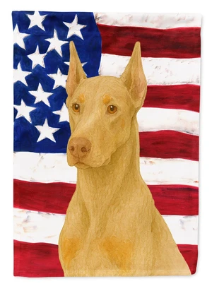 Fawn Doberman Pinscher American Flag House Flag Large Porch Sleeve Pole Decorative Outside Yard Banner Artwork Wall Hanging, Pol Fawn Doberman Pinscher American Flag House Flag Large Porch Sleeve Pole Decorative Outside Yard Banner Artwork Wall Hanging, Pol