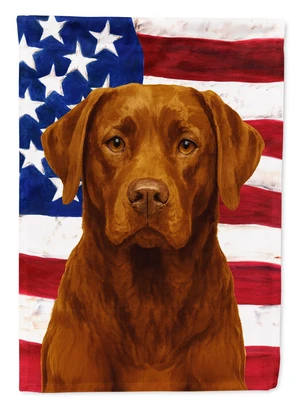 Chocolate Labrador Retriever American Flag House Flag Large Porch Sleeve Pole Decorative Outside Yard Banner Artwork Wall Hangin Chocolate Labrador Retriever American Flag House Flag Large Porch Sleeve Pole Decorative Outside Yard Banner Artwork Wall Hangin