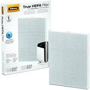 AeraMax 300 Air Purifier True HEPA Authentic Replacement Filter with AeraSafe Antimicrobial Treatment (9287201)