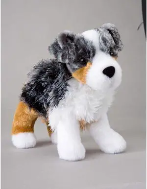 Steward-Australian Shepherd 8