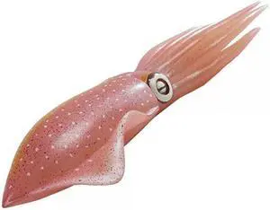 Safari Ltd Reef Squid ? Realistic Hand Painted Toy Figurine Model - Quality Construction from Safe and BPA Free Materials - For Ages 3 and Up