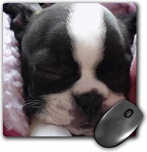 3dRose LLC 8 x 8 x 0.25 Inches Mouse Pad, Boston Terrier Puppy (mp_22237_1)