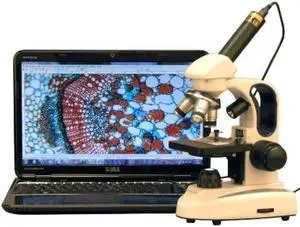 amscope m158c2le1 digital cordless compound monocular microscope, wf10x and wf25x eyepieces, 40x1000x magnification, upper and lower led illumination with rheostat, brightfield, singlelens condenser,