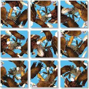 B Dazzle Bald Eagles Scramble Squares 9 Piece Puzzle B Dazzle Bald Eagles Scramble Squares 9 Piece Puzzle