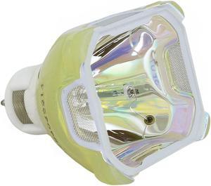 IWASAKI HS150AR10-8 OEM Projector Bare Lamp