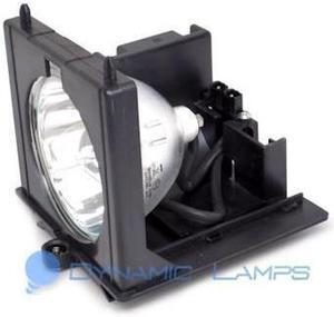 Electrified 260962 O-Series Replacement Lamp