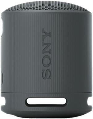 Sony Portable Speakers