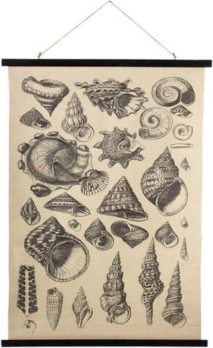 Midwest CBK Seashell Varieties Printed Canvas Wall Decor 41.25 Inches