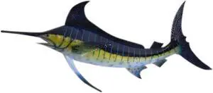 Marlin Replica Nautical Saltwater Fishing Wall Decor