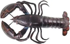 Replica 16 Inch Maine Ocean Coastal Sea Lobster Fishing Wall Decor