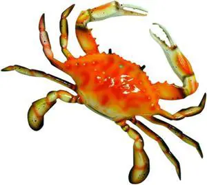 Large 17 Inch Replica Steamed Crab Wall Beach Decor