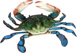 6 Inch Maryland Blue Crab Beach Wall Decor Resin