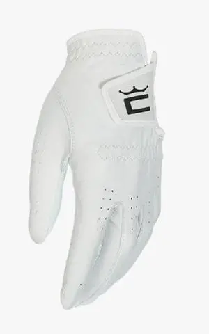 Cobra Pur Tour (2021) Glove