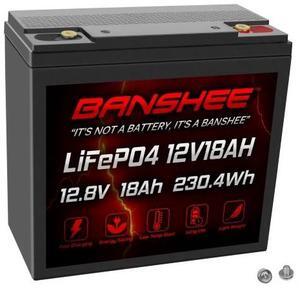 12V 18Ah LiFePO4 Lithium Battery  Deep Cycle, 3000+ Cycles, 20A BMS for Fish Finder, Scooter, UPS, Power Wheels, Solar, Marine Use