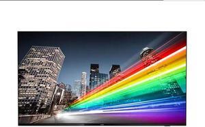 Philips 65BFL2214 65" with Integrated Pro:Idiom LED-backlit LCD TV - 4K - for digital signage - 65BFL2214/27