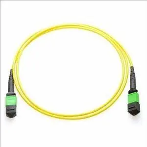 Axiom MPO Male to MPO Male Singlemode 9/125 Fiber Cable 10m - TAA Compliant - 32.81 ft Fiber Optic Network Cable Model AXG95170