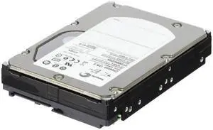 Seagate ST3300655SS
