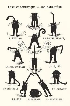 Le Chat Domestique Poster Print Black Cats Poster Print (22 x 34) Le Chat Domestique Poster Print Black Cats Poster Print (22 x 34)