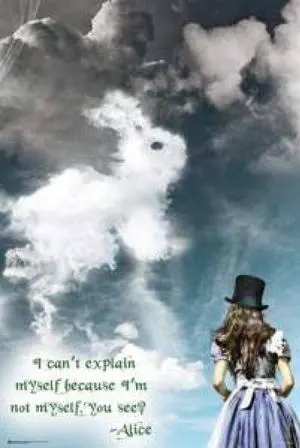 Alice In Wonderland Illusions Poster Print (22 x 34) Alice In Wonderland Illusions Poster Print (22 x 34)