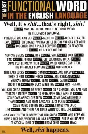 Functional Word Poster Print (24 x 36) Functional Word Poster Print (24 x 36)