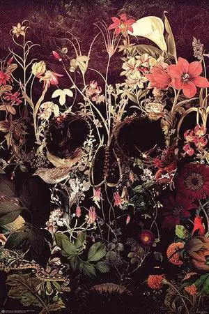 Bloom Skull Ali Gulec Poster Print (22 x 34) Bloom Skull Ali Gulec Poster Print (22 x 34)