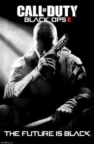 Call of Duty Black Ops II - Stealth Poster Print (24 x 36) Call of Duty Black Ops II - Stealth Poster Print (24 x 36)