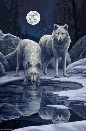 Lisa Parker - Warriors Of Winter Poster Print (22 x 34) Lisa Parker - Warriors Of Winter Poster Print (22 x 34)