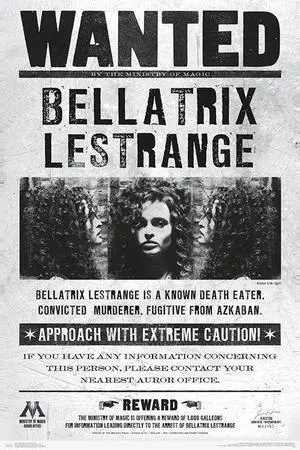 Harry Potter - Wanted Bellatrix Poster Print (22 x 34) Harry Potter - Wanted Bellatrix Poster Print (22 x 34)