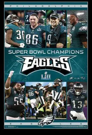 Super Bowl Lii - Celebration Poster Print (22 x 34) Super Bowl Lii - Celebration Poster Print (22 x 34)