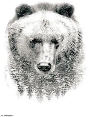 Bear - Trees Poster Print (22 x 34) Bear - Trees Poster Print (22 x 34)