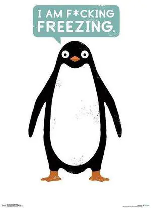 David Olenick - Talking Penguin Poster Print (22 x 34) David Olenick - Talking Penguin Poster Print (22 x 34)