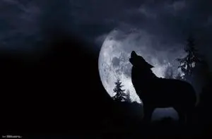 Wolf - Howl Poster Print (34 x 22) Wolf - Howl Poster Print (34 x 22)