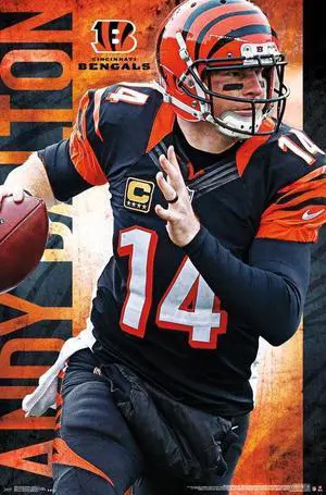 Cincinnati Bengals - Andy Dalton Poster Print (22 x 34) Cincinnati Bengals - Andy Dalton Poster Print (22 x 34)