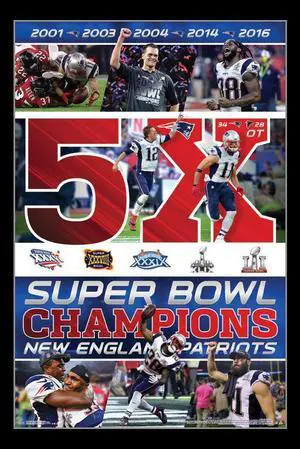 Super Bowl LI - Celebration Poster Print (24 x 36) Super Bowl LI - Celebration Poster Print (24 x 36)