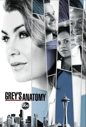 Grey's Anatomy Collage Poster Print (22 x 34) Grey's Anatomy Collage Poster Print (22 x 34)