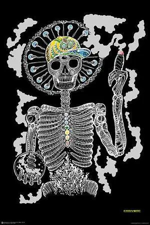 Dia De Los Dmt Poster Print (22 x 34) Dia De Los Dmt Poster Print (22 x 34)