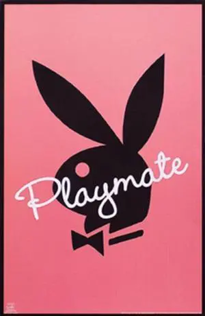 Playmate- Pink Poster Print (24 x 36) Playmate- Pink Poster Print (24 x 36)