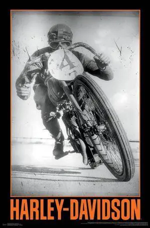 Harley-Davidson_ - Classic Racer Poster Print (22 x 34) Harley-Davidson_ - Classic Racer Poster Print (22 x 34)