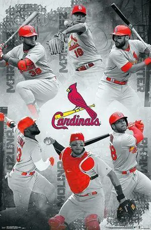 St. Louis Cardinals_ - Team Poster Print (22 x 34) St. Louis Cardinals_ - Team Poster Print (22 x 34)