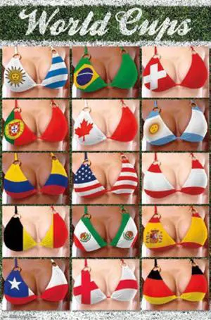 World Cups Poster Print (22 x 34) World Cups Poster Print (22 x 34)
