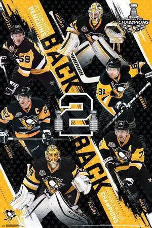 2017 Stanley Cup_ - Champions Poster Print (22 x 34) 2017 Stanley Cup_ - Champions Poster Print (22 x 34)