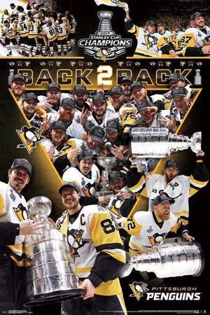 2017 Stanley Cup_ - Celebration Poster Print (22 x 34) 2017 Stanley Cup_ - Celebration Poster Print (22 x 34)