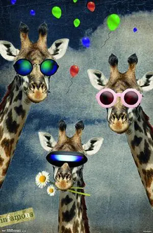 Giraffe - Selfie Poster Print (22 x 34) Giraffe - Selfie Poster Print (22 x 34)