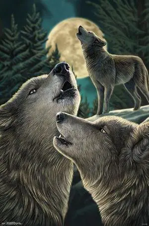 Lisa Parker - Wolf Song Poster Print (22 x 34) Lisa Parker - Wolf Song Poster Print (22 x 34)