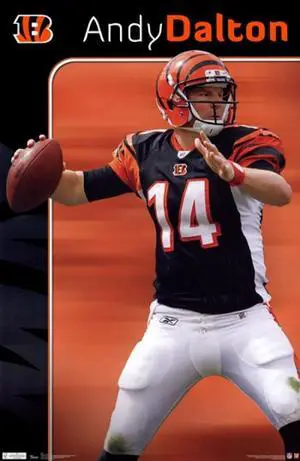 Cincinnati Bengals - Andy Dalton 2011 Poster Print (24 x 36) Cincinnati Bengals - Andy Dalton 2011 Poster Print (24 x 36)