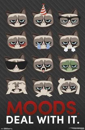Grumpy Cat - Grid Poster Print (22 x 34) Grumpy Cat - Grid Poster Print (22 x 34)